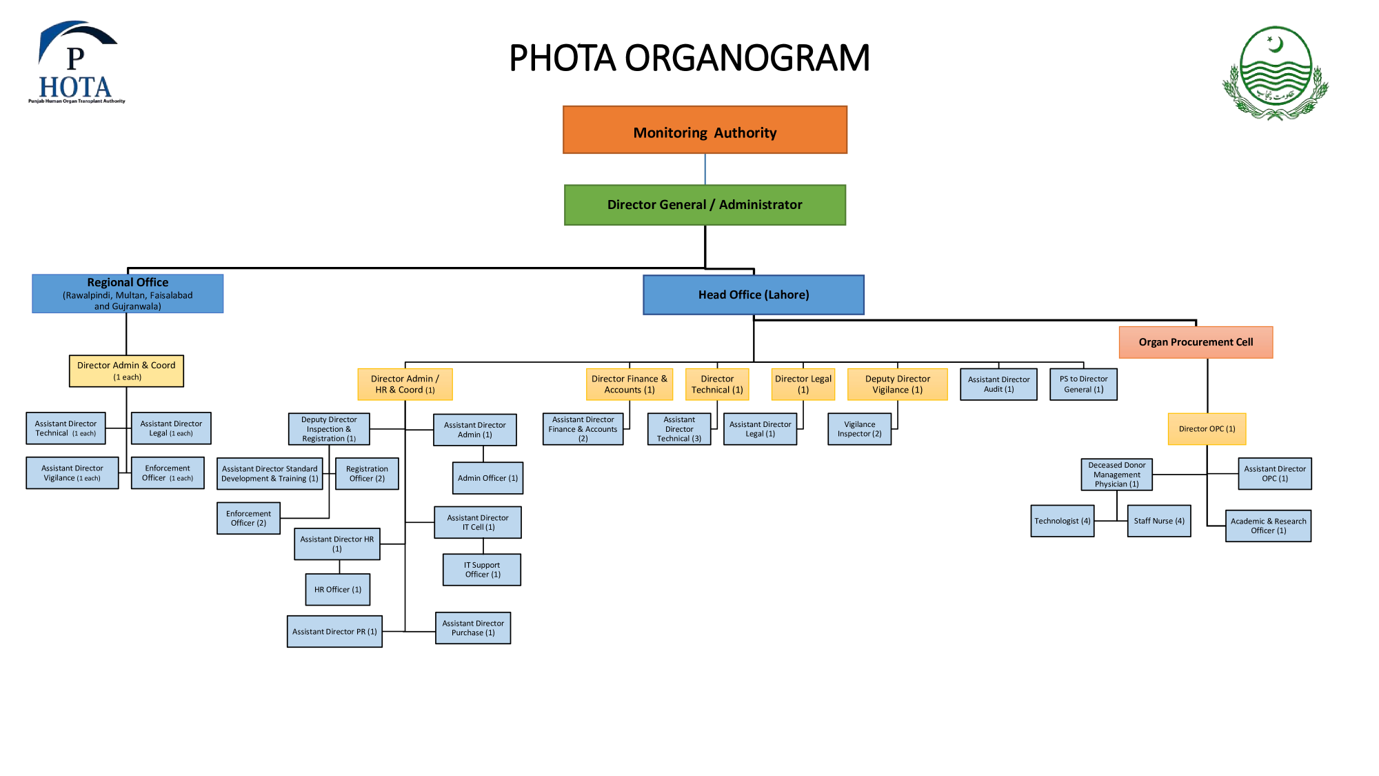 Organogram